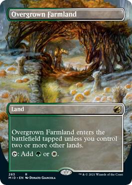 Overgrown Farmland (Borderless)-Innistrad: Midnight Hunt-R-Normal