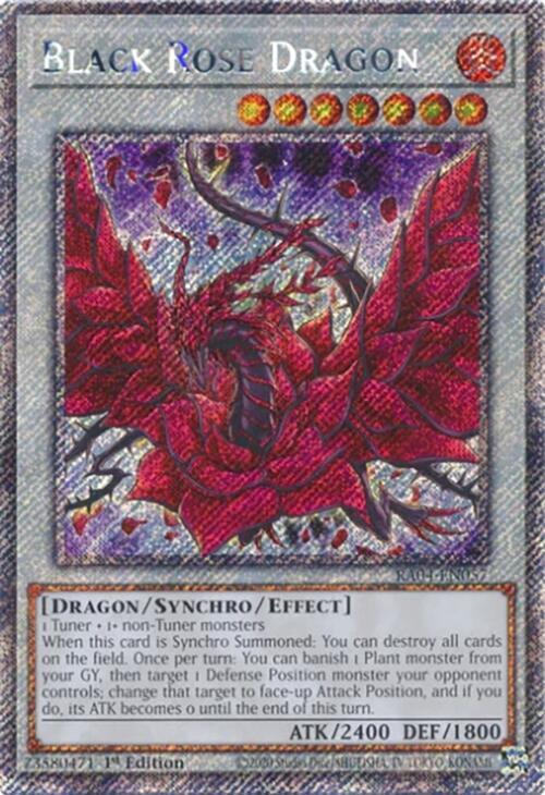 Black Rose Dragon (Platinum Secret Rare)-Quarter Century Stampede-Platinum Secret Rare-1st Edition