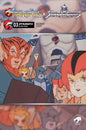 Thundercats X Silverhawks #3 Cover E Animation Art Variant
