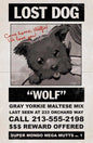 Super Mondo Mega Mutts #1 (Of 4) Cover G 1 in 10 Juan Gedeon Lost Dog Variant (Mature)