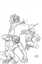 Thundarr The Barbarian #5 Cover M 1 in 10 Joseph Michael Linsner Line Art Full Art Variant