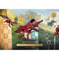 Harry Potter Quidditch Hardcover