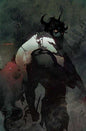 Red Sonja She Devil With A Sword #5 Cover N Inc 1:7 Stuart Sayger Full Art Variant
