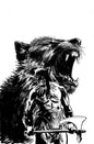 Fire And Ice Darkwolf #3 Cover M Inc 1:5 Fernando Proietti Line Art Full Art Variant