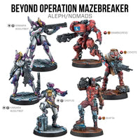 Beyond Operation Mazebreaker