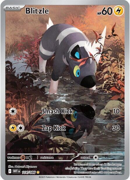 Blitzle - 114/086-SV: White Flare-Illustration Rare-Holofoil