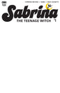 Sabrina The Teenage Witch #1 Cover E Blank Sketch Variant