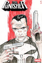 Punisher #9 Geoff Shaw Art Style Variant [Bg]