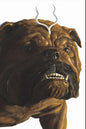 Jeff The Land Shark: Superstar #3 Alex Ross Timeless Full Art Variant