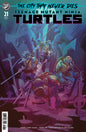Teenage Mutant Ninja Turtles #21 Variant C (Menheere)