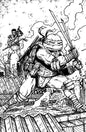 Teenage Mutant Ninja Turtles #21 Variant Ri (10) (Eastman & Bishop Black & White Full Art)