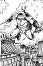 Teenage Mutant Ninja Turtles #22 Variant Ri (10) (Eastman & Bishop Black & White Full Art)