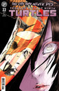 Teenage Mutant Ninja Turtles #22 Variant Ri (25) (Lee)