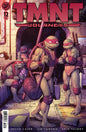 Teenage Mutant Ninja Turtles: Journeys #12 Variant B (Santolouco)