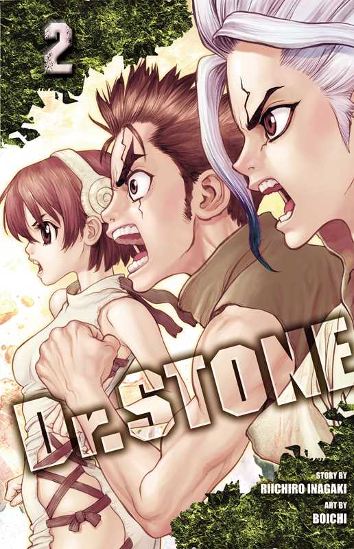 Dr. STONE, Vol. 2 by Riichiro Inagaki: Paperback; 200 pages / English