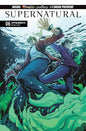 SUPERNATURAL #6 CVR C DAVID COUSENS VAR