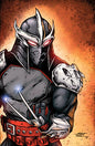 Teenage Mutant Ninja Turtles #12 Variant RI (10) (Eastman Full Art)[1:10]