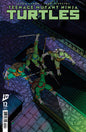 Teenage Mutant Ninja Turtles #12 Cover A (Fornés)