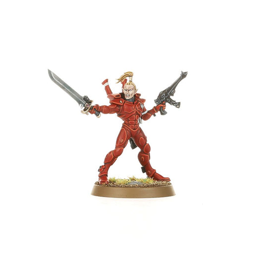AELDARI: GUARDIAN (Defenders or Storm Guardians)