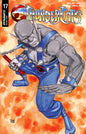 THUNDERCATS #17 CVR D DREW MOSS VAR