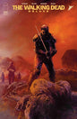 WALKING DEAD DELUXE #132 CVR C STEFANO GAUDIANO VAR (MR)