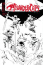 ThunderCats #18 Cover N 1:10 Declan Shalvey Black & White Variant